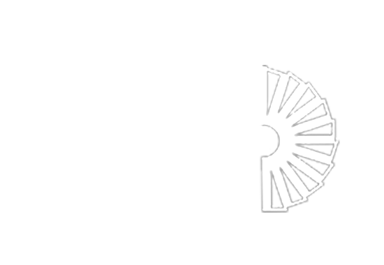 SERVICIO ALEMÁN DE INTERCAMBIO ACADÉMICO