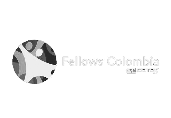 FELLOWS COLOMBIA